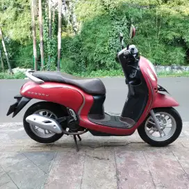 Scoopy New Kayles 2022 Gress Bagus