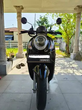 Honda Scoopy Prestige