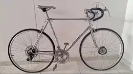 Roadbike Sepeda Balap not specialized brompton look polygon trek