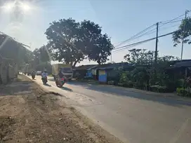 Tanah Sawah Pinggir Jalan Raya Subang Arah Pagaden Pamanukan
