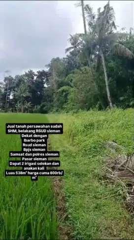 Jual tanah sawah 440jt nego