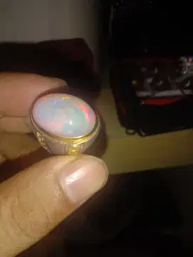Kalimaya milky Ethopia