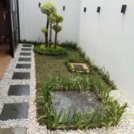 jual rumput gajah mini Pembuatan taman rumah
