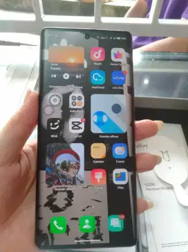 Vivo V29 5G 8/256