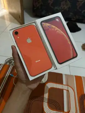 Iphone Xr 64gb Resmi Ibox Warna Coral