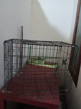 Kandang n tas kucing
