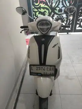 Yamaha grand Filano