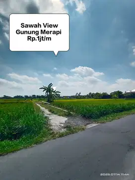Jual Tanah Sawah View Gunung Merapi dkt Jalan raya
