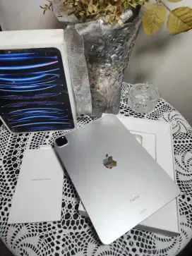 Ipad Pro M2 256GB wiFi 11 inch mulus seperti Baru