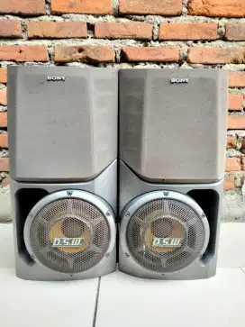 SPEAKER SONY LBT VR50