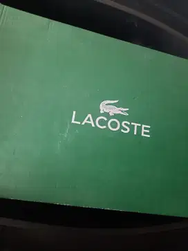 Lacoste size 43