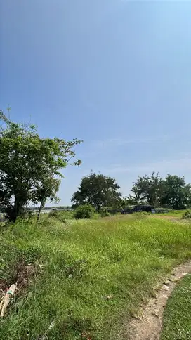 Dijual Tanah 100 Ha Cocok Untuk Pabrik