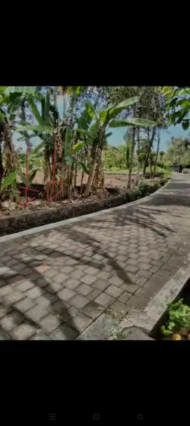 Dijual tanah kebun
