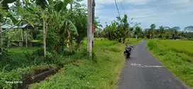 Di jual tanah murah di ubud tampaksiring dengan pesona hamparan  sawah