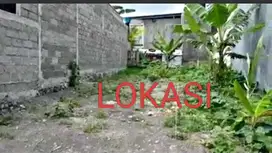 TANAH MURAH DI DENPASAR TIMUR, LUAS 1 ARE(100M2)