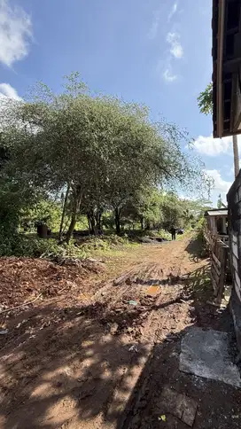 BUC Dijual Murah dan Cepat Tanah di Jl Jepun Puri Gading Jimbaran Bali