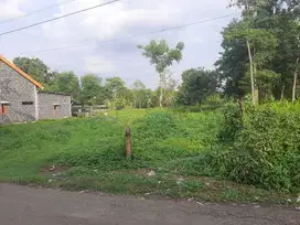 Dijual tanah pekarangan.  Ds Purworejo Kec Pungging Mjk dekat eLKISI
