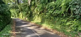 Disewakan tanah  di dekat kota ubud