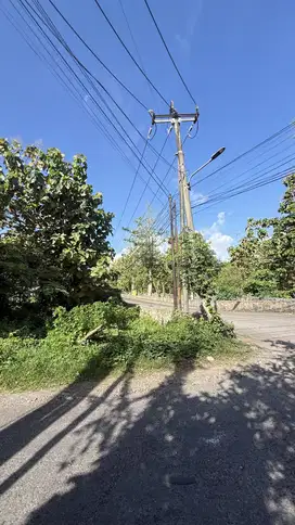 Buc Dijual Cepat Dan Murah Tanah Sebelah Beranda Bukit Kutuh Bali