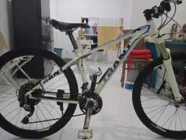 Sepeda GIANT alluxx 6000
