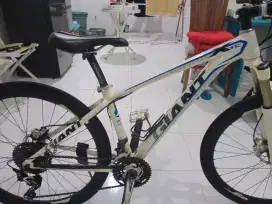 Sepeda GIANT alluxx 6000