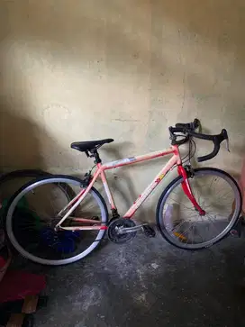 Sepeda roadbike
