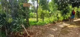 DIJUAL KEBUN MANGGIS & DURIAN