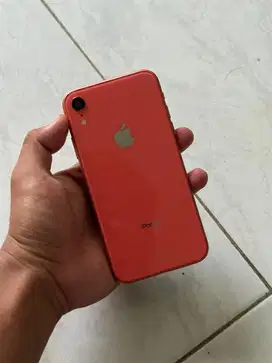 iPhone Xr 64gb Murmer