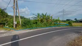 SHORT DRIVE TO TANAH LOT & CANGGU - LAND FOR SALE PERFECT for VILLA