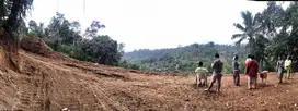 Tanah Luas 38 Are Siap Bangun Villa Di Sebatu Tegallalang UBUD BALI