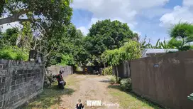 TANAH LOKASI STRATEGIS DI SEGARA MADU KELAN, TUBAN COCOK UNTUK VILLA