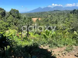 TANAH VIEW SAWAH BUAHAN KAJA PAYANGAN GIANYAR, BALI