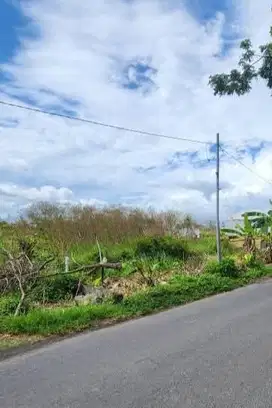 Dijual tanah lokasi jalan utama pantai seseh