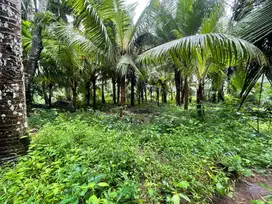 Dijual Cepat Tanah Los Sungai (Riverside) & Ocean View