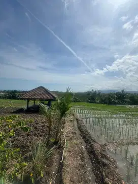 DI JUAL TANAH DI PINGGIR JALAN UTAMA DENPASAR GILIMANUK TABANAN BALI