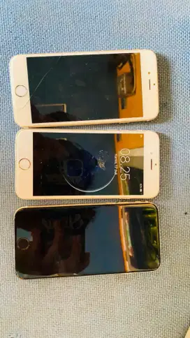 TAKE ALL 6 DAN 6S
