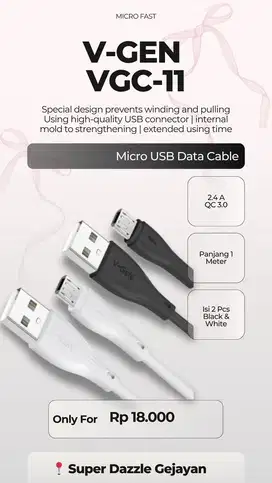 V-GEN VGC11 USB MICRO ISI 2