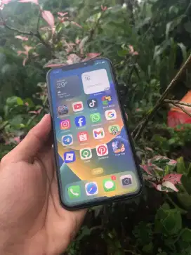 iPhone X 256gb Beacukai