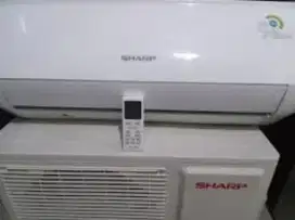 AC SHAEP 1/2pk lowwat