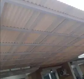 Canopy alderon 233