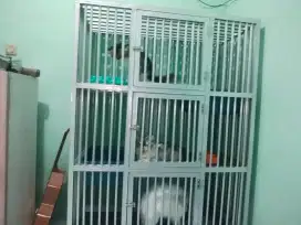 Jual kandang kucing 3 tingkat