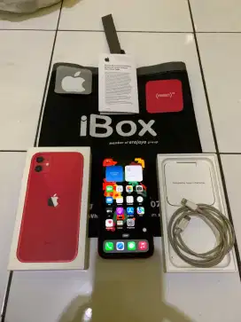 Iphone 11 128Gb IBox