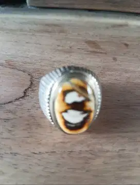 Cincin Batu gambar langka