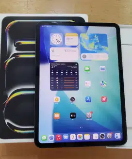 iPad Pro M4 11inch 256GB Wifi Only Space Black With Standard Glass