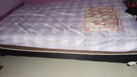 springbed american pillow