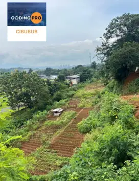 Dijual & Disewakan kavling Datar Siap Bangun belakang sirkuit sentul