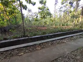 Tanah cocok buat bangun kos-kosan