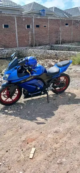 Kawasaki 250 taun 2010