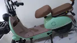 Sepeda listrik larizz
