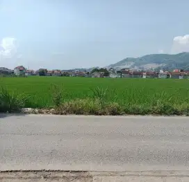 Jual tanah pinggir jl desa luas tanah 1141